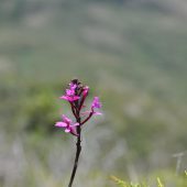  Ecuador